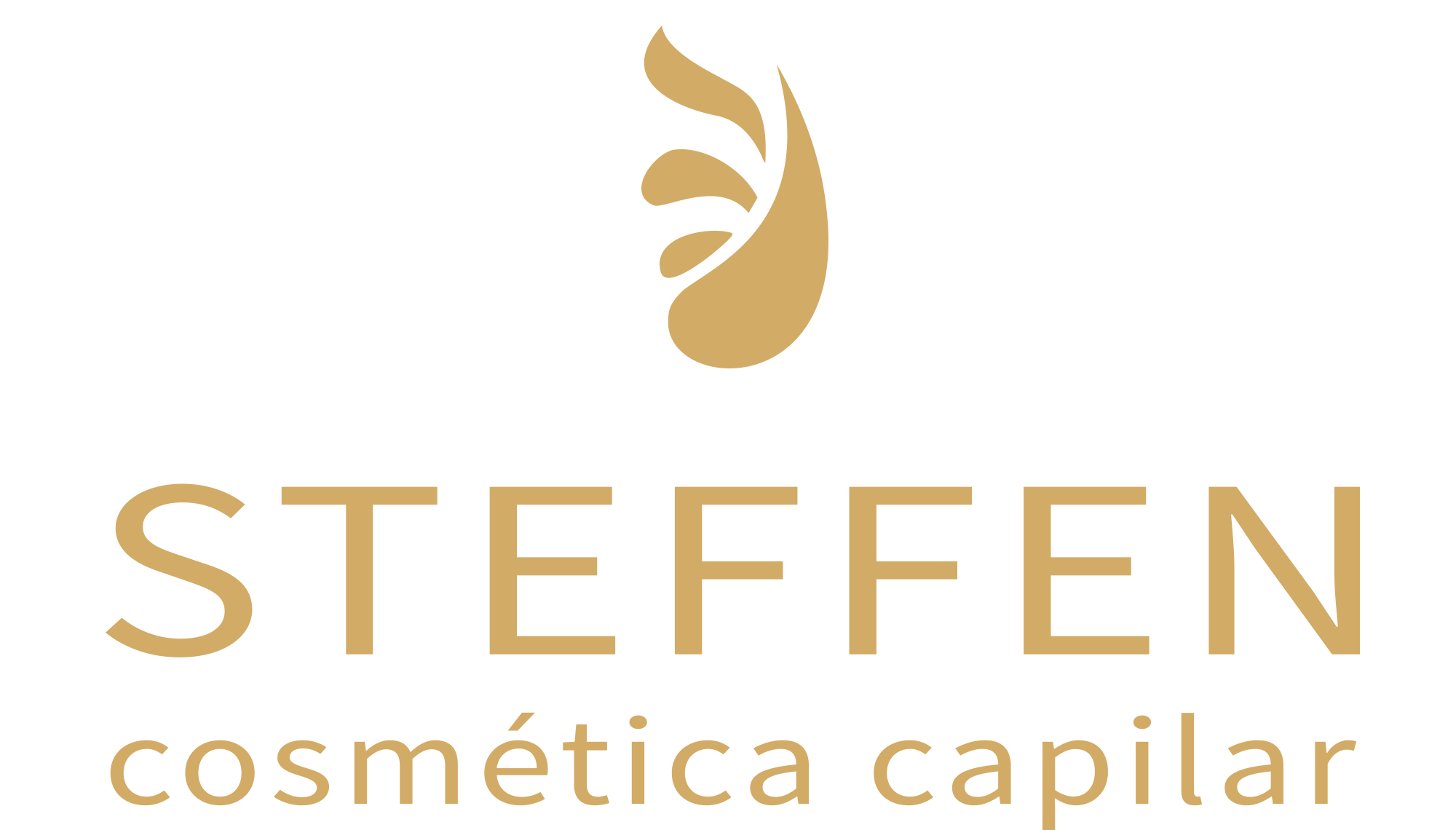 Logo central